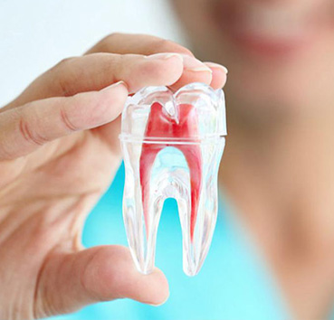 Endodoncia en Valencia Clínica Dental Cots
